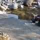 Myriam_ragazze_in-moto