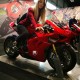 lisa_ragazze_in_moto