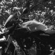 ilenia_ragazze_in_moto